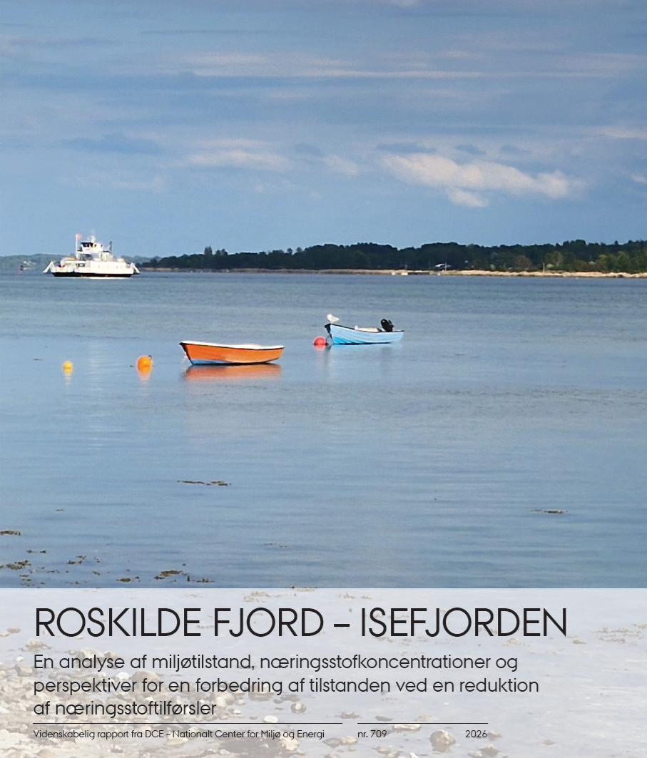 Sådan kan Isefjord opnå god økologisk tilstand (Ny AU-rapport)
